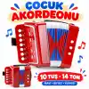 TCX Çocuk Akerdiyonu