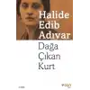 TCX Dağa Çıkan Kurt