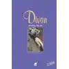TCX Divan