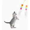 TCX ELASTİK YAPIŞKANLI KEDİ OYUN OLTASI