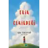 TCX Erik Çekirdeği