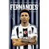 TCX Fernandes