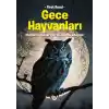 TCX Gece Hayvanları