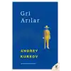 TCX Gri Anılar