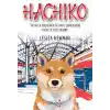 TCX Hachiko (İngilizce)