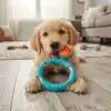 TCX HALATLI DİSK KÖPEK ISIRMA OYUNCAĞI - MAMA ÖDÜLLÜ MEKANİZMA