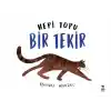 TCX Hepi Topu Bir Tekir