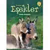 TCX İlk Okuma - Eşekler