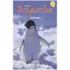 TCX İlk Okuma - Penguenler