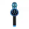 TCX KABLOSUZ KARAOKE MİKROFONU