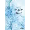 TCX Kader Nedir