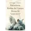 TCX Kanatların Kırılsa da Uçmaya Devam Et