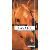 TCX Kaşağı