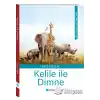 TCX Kelile ile Dimne
