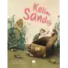 TCX Kelime Sandığı
