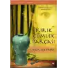 TCX Kırık Çömlek Parçası