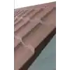 TCX KÖPEK KULÜBESİ