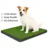 TCX Köpek Tuvalet Eğitim Seti