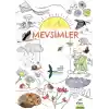 TCX Mevsimler