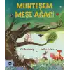 TCX Muhteşem Meşe Ağacı
