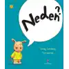 TCX Neden?