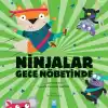 TCX Ninjalar Gece Nöbetinde