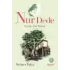 TCX Nur Dede