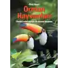 TCX Orman Hayvanları