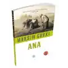 TCX Özet  - Ana