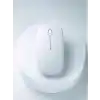 TCX Pg-908 Mouse Beyaz