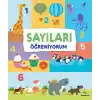 TCX Sayıları Öğreniyorum