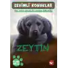 TCX Sevimli Konuklar 3 - Zeytin