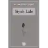 TCX Siyah