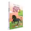 TCX Siyah