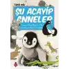 TCX Şu Acayip Anneler