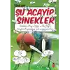 TCX Şu Acayip Sinekler