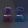 TCX TATLI ÇİFT TEMALI MİNİ BOY IŞIKLI KAR KÜRESİ
