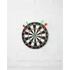 TCX TCX® 17 İnç Dart