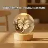 TCX TCX® DÖRT YAPRAKLI KÜRE