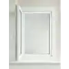 TCX TEK KANATLI SİNEKLİK
