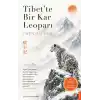 TCX Tibet’te Bir Kar Leoparı