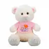 TCX Tişörtlü Peluş Ayı 40 cm.
