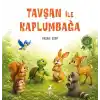 TCX Tşan İle Kaplumbağa