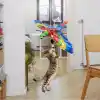 TCX UÇAN PAPAĞAN KEDİ OYUNCAĞI