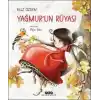 TCX Yağmurun Rüyası