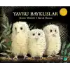 TCX Yru Baykuşlar