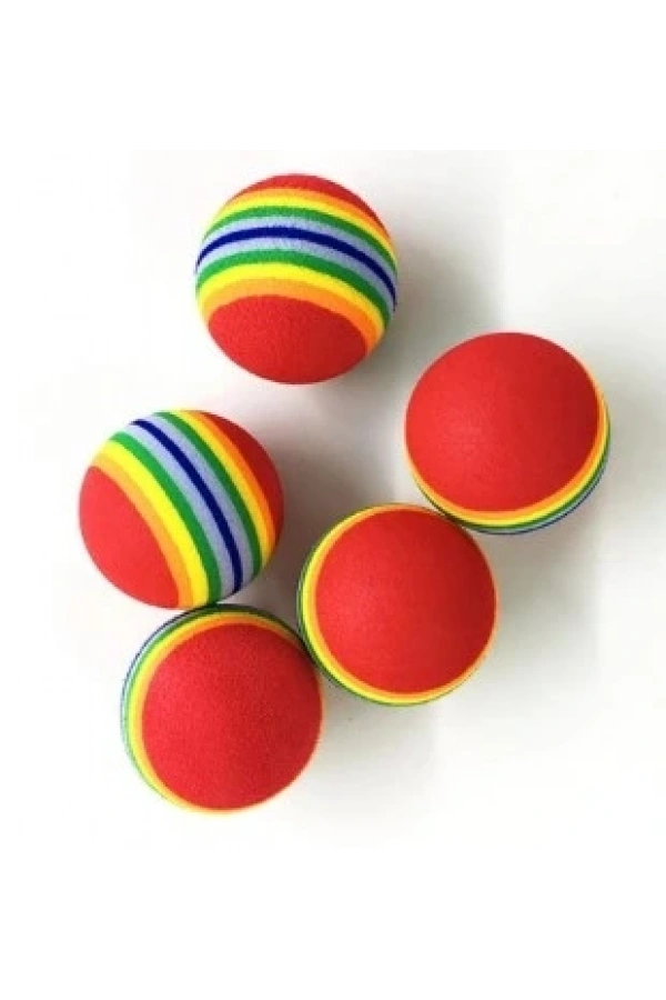 Bidebuvar 2 ADET GÖKKUŞAĞI RENKLI KEDI KÖPEK OYUN TOPU