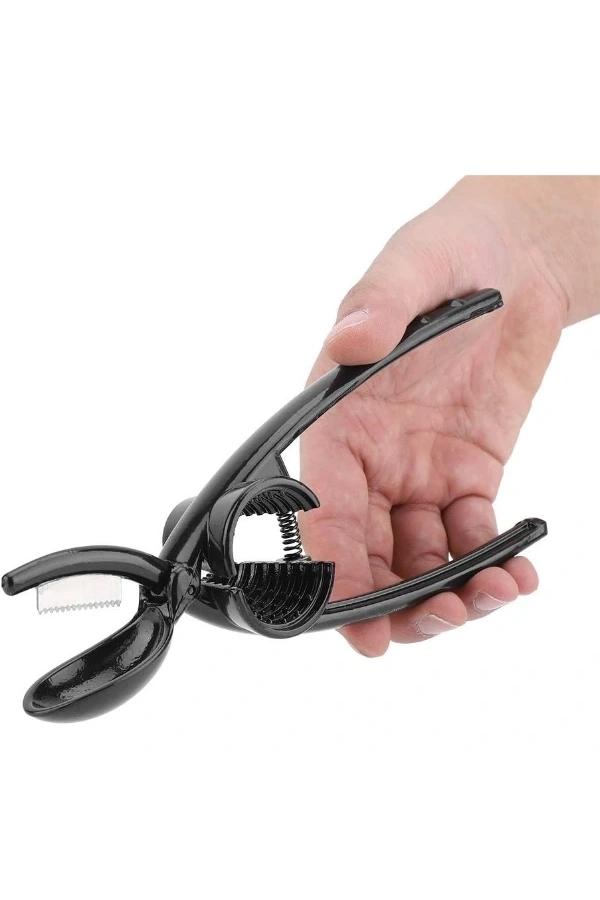 Bidebuvar 2si 1 Arada Kestane Çizici ve Ceviz Kıracağı