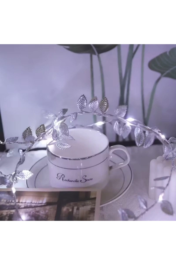 Bidebuvar 3 Metre Yaldızlı Gümüş LED Işık