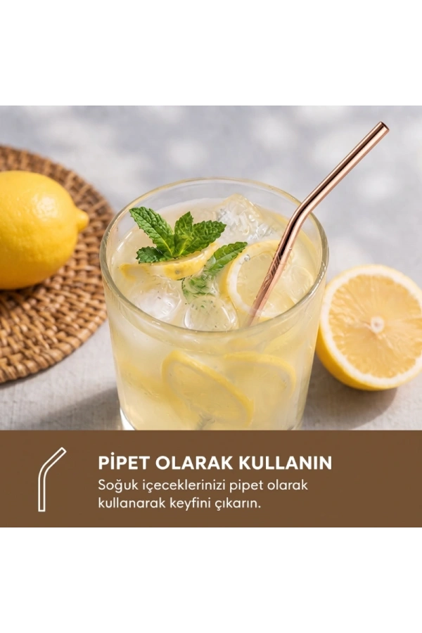 Bidebuvar 6lı Kaşıklı Pipet Seti - Bronz - Pipet Temizleme Fırçası
